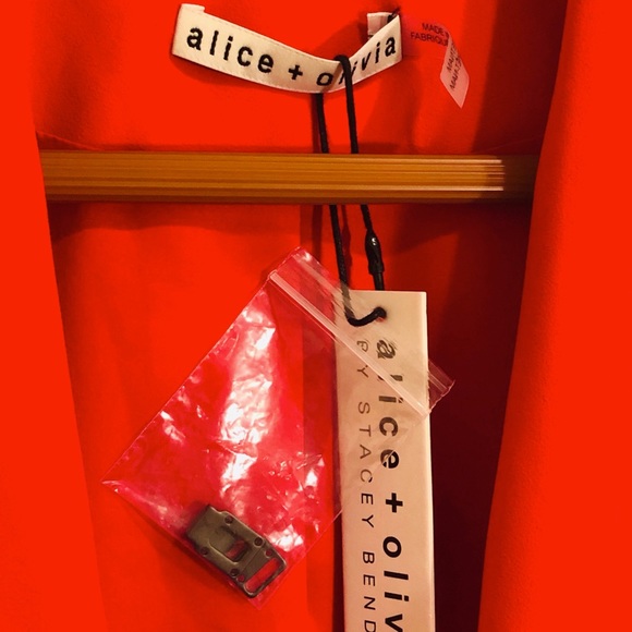 NWT Alice + Olivia Jace Oversized Blazer-Paprika - Picture 6 of 6